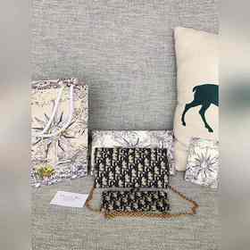 Артикул S5614CTZQ-M928-TU -3013Dior SaddleWoc сумка на цепочке 58