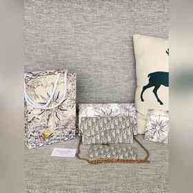 Артикул S5614CTZQ-M928-TU -3013Dior SaddleWoc сумка на цепочке 58