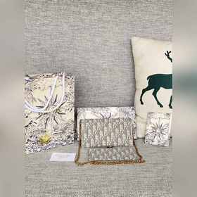 Артикул S5614CTZQ-M928-TU -3013Dior SaddleWoc сумка на цепочке 58