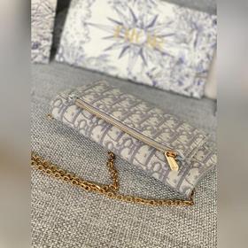 Артикул S5614CTZQ-M928-TU -3013Dior SaddleWoc сумка на цепочке 58