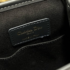 Популярная сумка CEST DIOR в маленьком размере «в полоску» Эта су