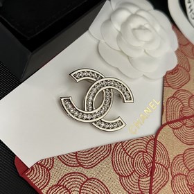 CHANEL выпустила новую брошь, которая уже доступна в магазинах. Б