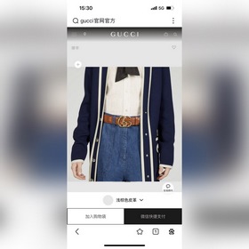 Gucci  Ширина 4,0 см  Новая модель Каждый сезон бренд обновляет