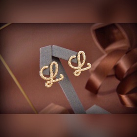 LOEWE Серьги-гвоздики Классический дизайн с логотипом LOEWE Anagr