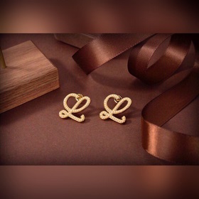 LOEWE Серьги-гвоздики Классический дизайн с логотипом LOEWE Anagr