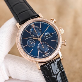 Три функции в одном часовом механизме TW [Хронограф IWC Portofino