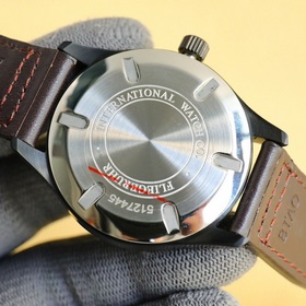Серия «Пилоты мира» lW5127537 Мужские часы Механизм： автоматическ