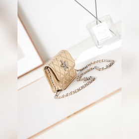 Новая модель мини-сумки Chanel Сегодня снова вышла развлечься. П