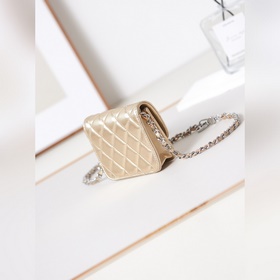 Новая модель мини-сумки Chanel Сегодня снова вышла развлечься. П