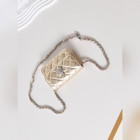 Новая модель мини-сумки Chanel Сегодня снова вышла развлечься. П