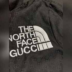 Gucci и THE NORTH FACE эксклюзивная весенняя куртка с капюшоном. 