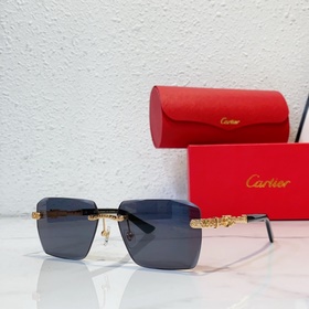 Cartier МОДЕЛЬ： CT0613S РАЗМЕР： 50 x 21-145