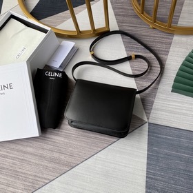 Подлинный товар, новейшие спецификации, Celine, новый размер, нак