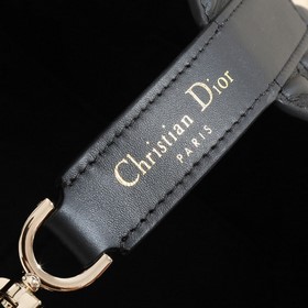 Сумка Dior Toujours среднего размера Эта сумка Dior Toujours была