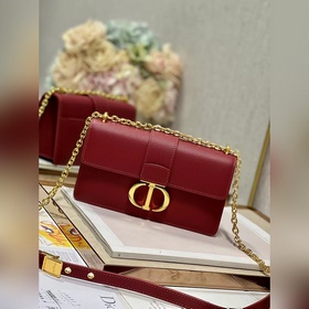 Подлинный Dior. r 30 Montaigne East-West сумка с цепочкой и отпеч