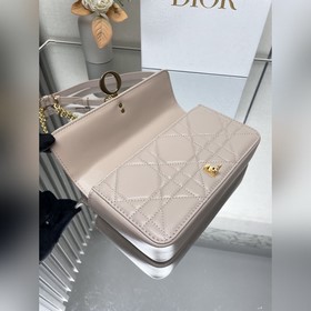 Подлинный продукт  dior Диор, высший класс Кирпичный шкафчик Нов