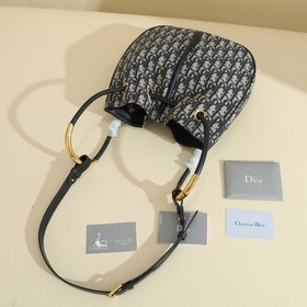 Эта сумка Dior Nolita из новой коллекции осень 2024 года представ