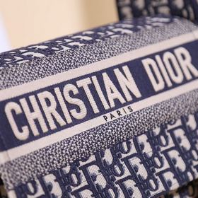 Новая сумка Dior Mailer среднего размера, тщательно разработанная