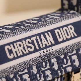 Новая сумка Dior в стиле почтальона, тщательно разработанная на о