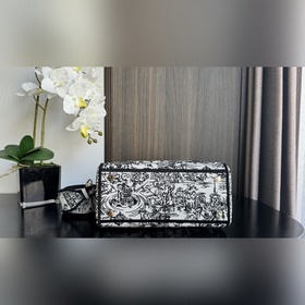 Подлинная вышивка Lady D-Lite Эта сумка Lady D-Lite сочетает в се