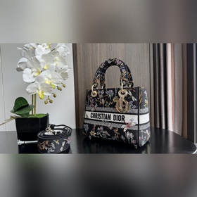 Подлинная новинка. Эта сумка Lady D-Lite с вышивкой Lady D-Lite в