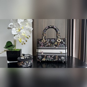 Подлинная новинка. Эта сумка Lady D-Lite с вышивкой Lady D-Lite в