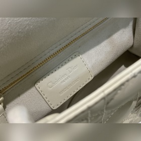Подлинный Lady Dior My 20 см Четыре матовых эмблемы — глубокое по
