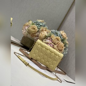 Подлинный продукт высокого качества сумка MISS DIOR «желтая» Эта 