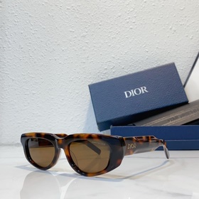 Dior МОДЕЛЬ： Dior Xplorer S3I Размер： 53 x 19-145