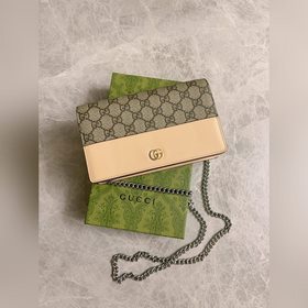 Новейшая сумка Gucci с цепочкой изготовлена из бежевой и черного 