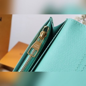 N40678 Сумка для костюма Этот органайзер из ткани Damier Heritag