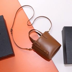 【Специальный заказ】 Эксклюзивный фон ys1 mini tote с плоским узор