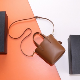 【Специальный заказ】 Эксклюзивный фон ys1 mini tote с плоским узор