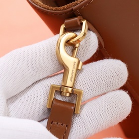 【Специальный заказ】 Эксклюзивный фон ys1 mini tote с плоским узор