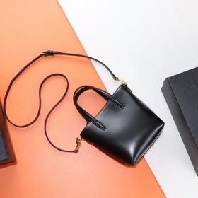 【Специальный заказ】 Эксклюзивный фон ys1 mini tote с гладкой текс