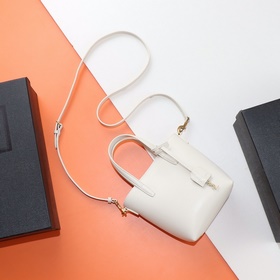 【Специальный заказ】 Эксклюзивный фон ys1 mini tote с плоским узор