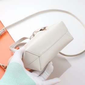 【Специальный заказ】 Эксклюзивный фон ys1 mini tote с плоским узор