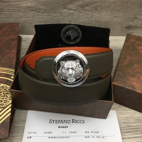 Ширина 3,8 см, длина 80-110 см.