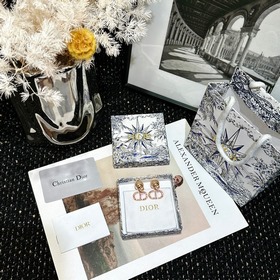Новинка Серьги-гвоздики Dior Код p115 Новинка： серьги-гвоздики DI
