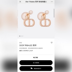 Новинка Серьги-гвоздики Dior Код p115 Новинка： серьги-гвоздики DI