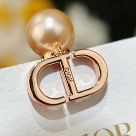 Новинка Серьги-гвоздики Dior Код p115 Новинка： серьги-гвоздики DI