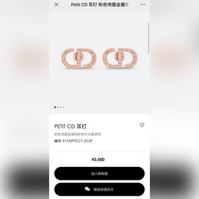 Новинка Серьги-гвоздики Dior Код p105 Новинка： серьги-гвоздики DI