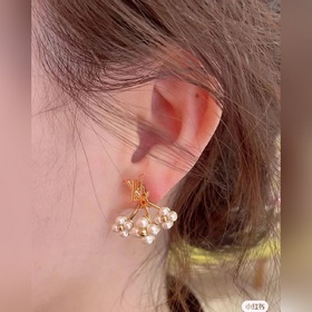 Серьги Louis Vuitton Серьги с буквами цветами. Два способа ношени