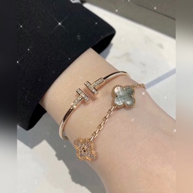 -Изображение на руке -Tiffany&co Тиффани Классическая серия T