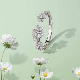 -Фотография витрины, фотография на руке -Van Cleef & Arpels Ф