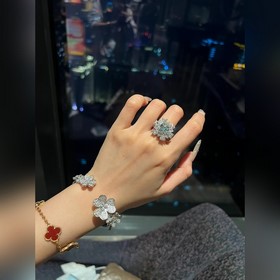 -Фотография витрины, фотография на руке -Van Cleef & Arpels Ф