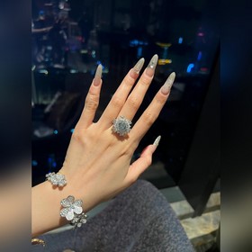 -Фотография витрины, фотография на руке -Van Cleef & Arpels Ф