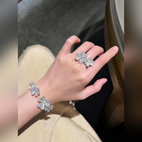 -Фотография витрины, фотография на руке -Van Cleef & Arpels Ф