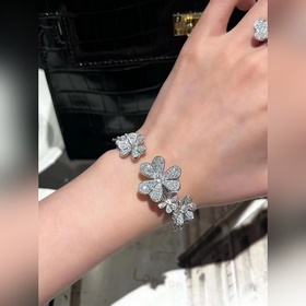 -Фотография витрины, фотография на руке -Van Cleef & Arpels Ф