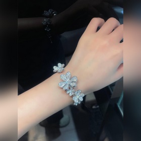 -Фотография витрины, фотография на руке -Van Cleef & Arpels Ф